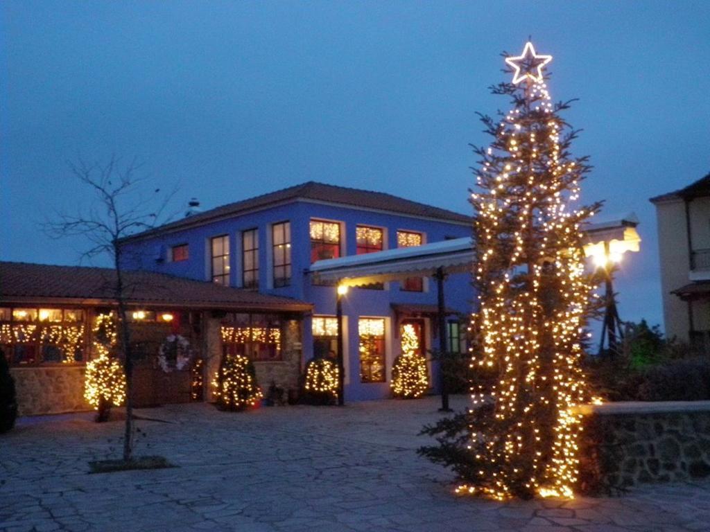 Hotel Prasino Horio à Arnaia Extérieur photo